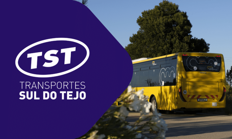 TST Transportes Sul do Tejo yellow bus on a sunny road with trees, displaying the company's purple and white logo branding.