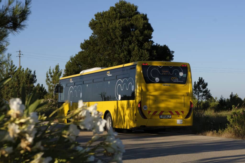 A bright yellow and dark blue public transit bus travels along a rural road lined with pine trees and white wildflowers under clear skies.