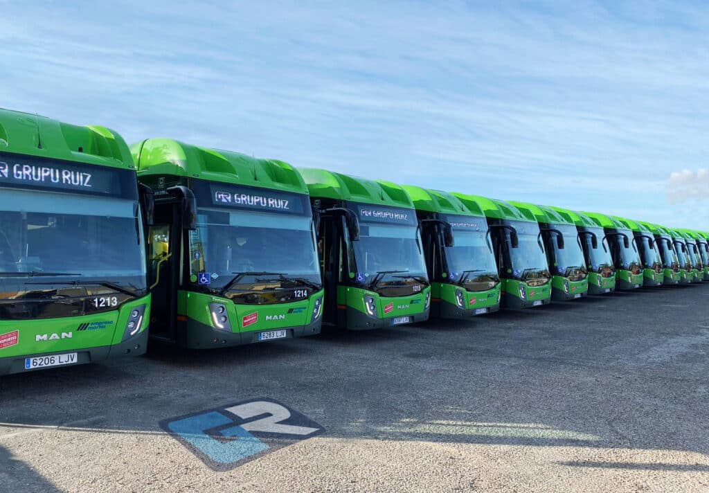 A fleet of bright green MAN buses lined up in a row, branded with Grupo Ruiz livery, parked on an asphalt lot under blue sky.