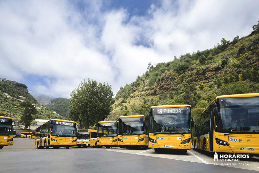 Fleet of yellow public buses parked in a mountain valley with lush green hillsides, operated by Horários do Funchal for route 49 Fundoa in Madeira.